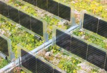 zielone dachy solarne