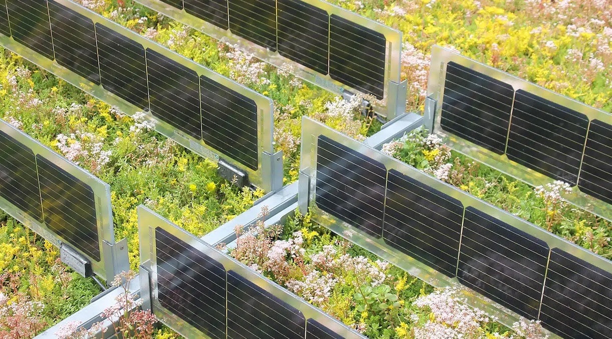 Panele PV czy zielony dach? Już nie musisz wybierać