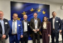 Bioenergy Europe, Komisja Europejska