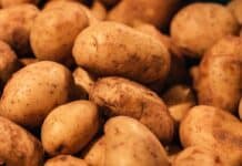 Polscy producenci ziemniaków