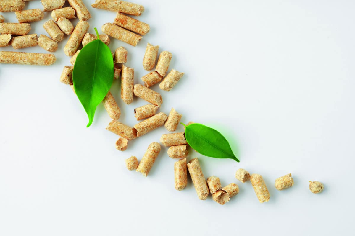 Światowy rynek pelletu: Europa hamuje, Azja przyspiesza