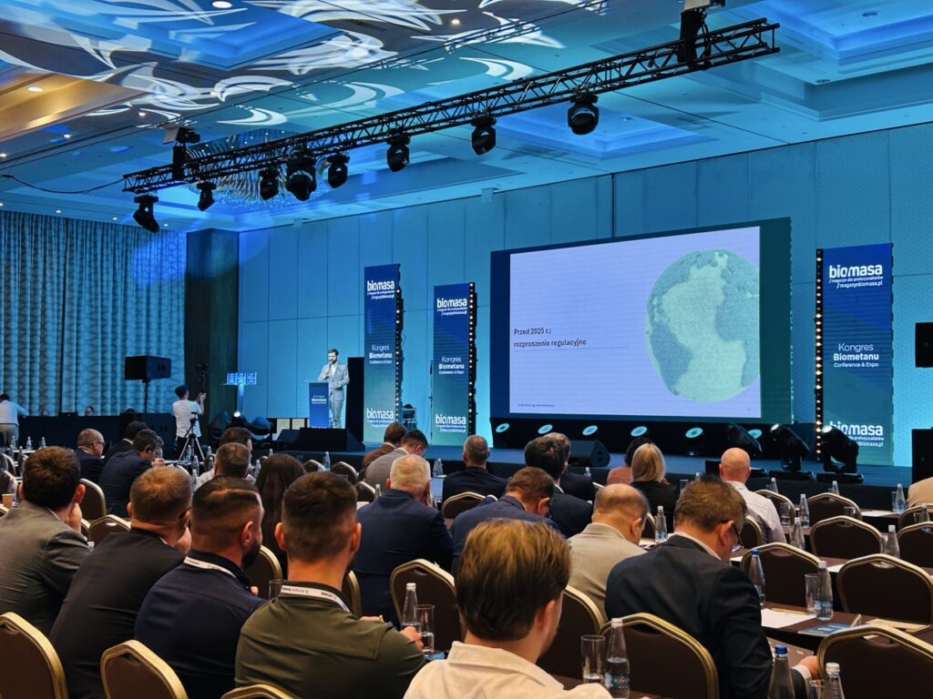 Dawid Krakowiak, Deloitte