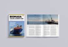 Biomasa i paliwa alternatywne