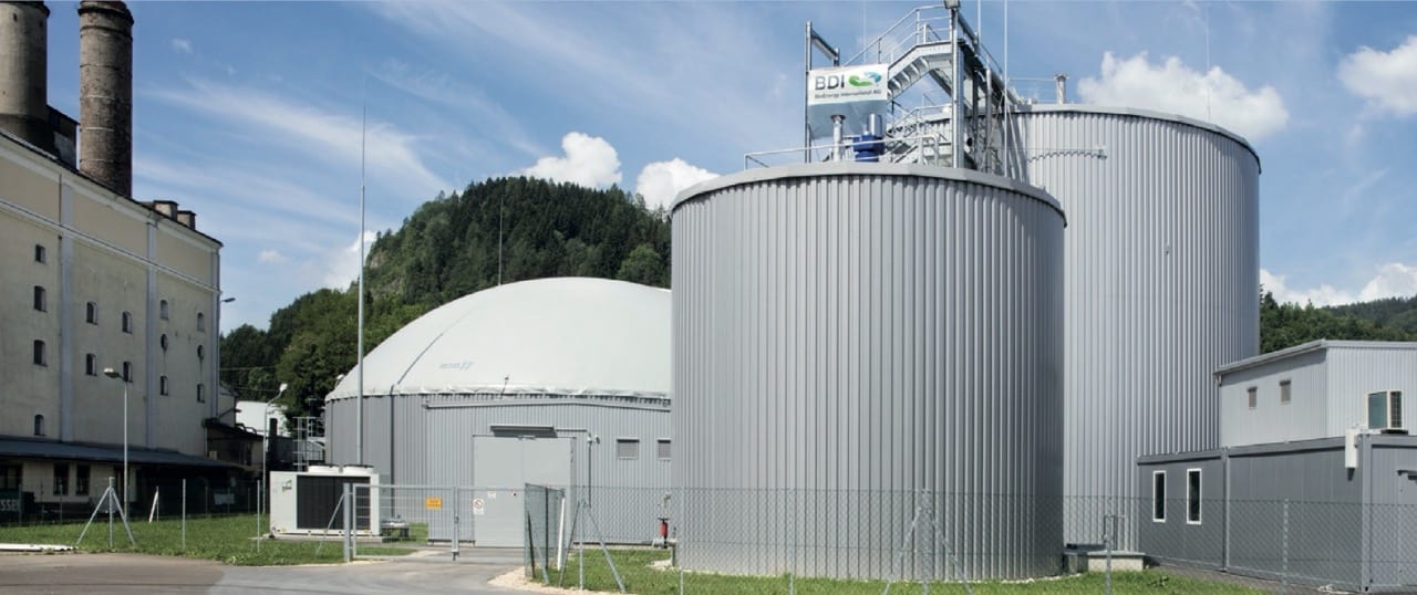 „Zielony browar”, czyli jak produkować piwo dzięki energii z OZE