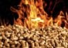 pellet