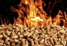 pellet