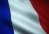 Francja chce objąć pirolizę systemem wsparcia dla biogazu Francja piroliza
