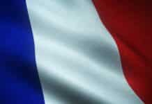 Francja chce objąć pirolizę systemem wsparcia dla biogazu Francja piroliza