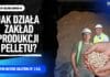 produkcja pelletu, For Nature Solutions