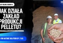 produkcja pelletu, For Nature Solutions