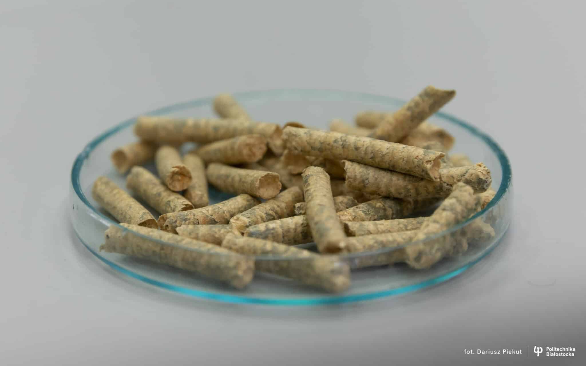 Polscy naukowcy opracowali pellet o podwyższonej kaloryczności