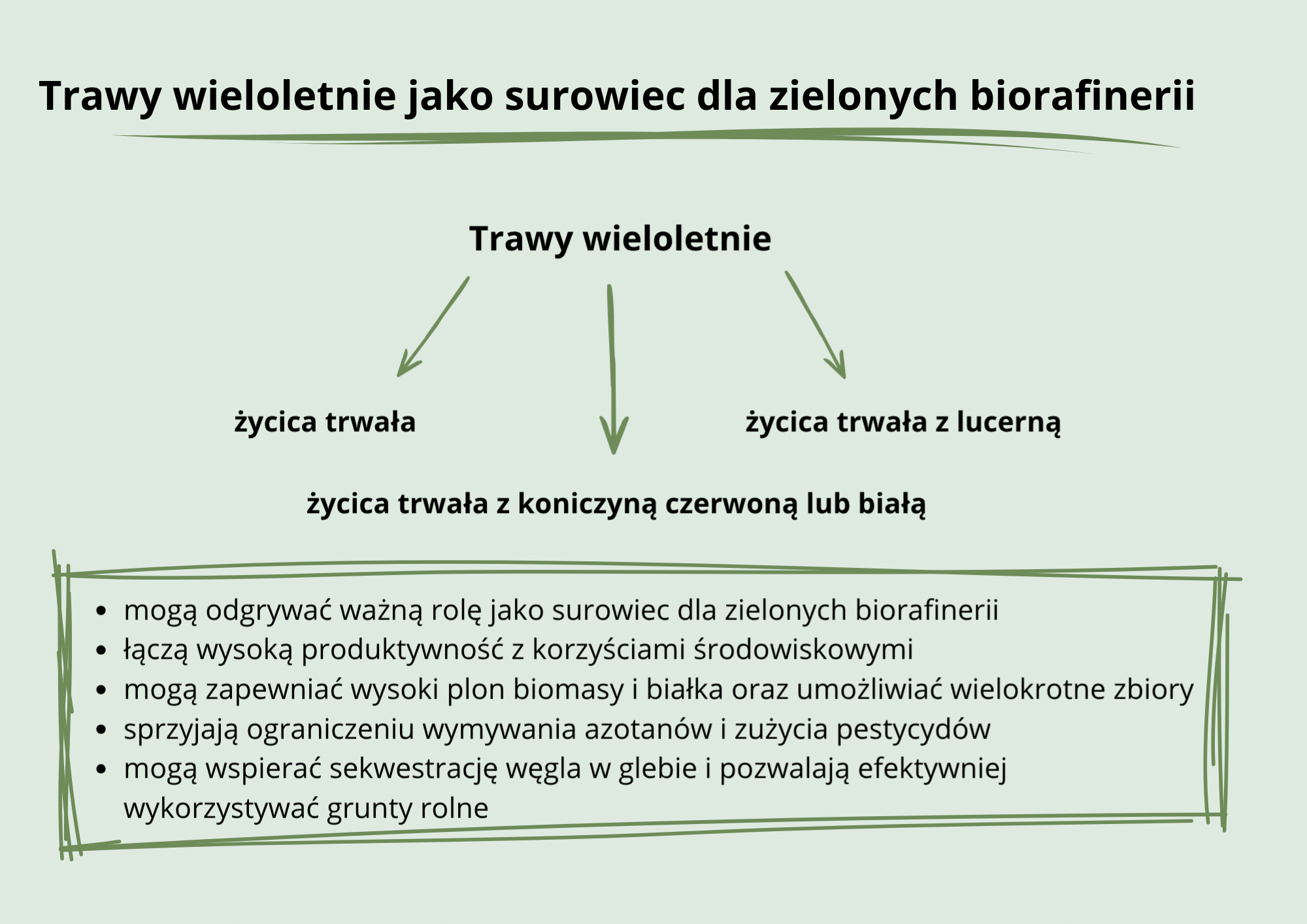 Zielona biorafineria – duński model interesujący także dla polskich biogazowni