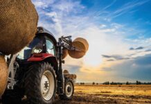 Biomasa agro (shutterstock)