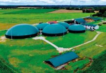 Niemcy: po 20 latach wsparcia biogaz szuka nowego modelu Archiwum Neo Bio Energy