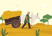 indie biogaz rolnictwo
