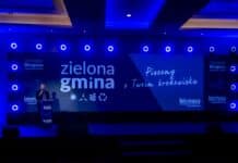 zielona gmina