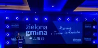 zielona gmina