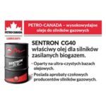 Petro Canada Petro Canada