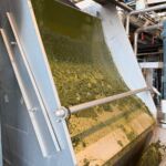 biorafineria na kampusie Viborg, Uniwersytet Aarhus biorafineria na kampusie Viborg, Uniwersytet Aarhus